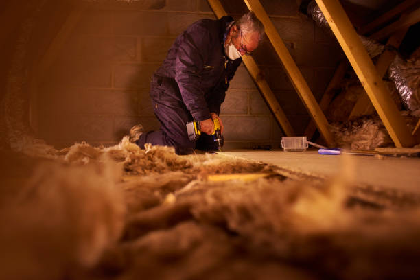 Best Specialized Insulation Services in Kingston, NJ