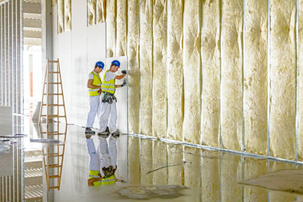 Best Energy Efficiency Insulation in Kingston, NJ